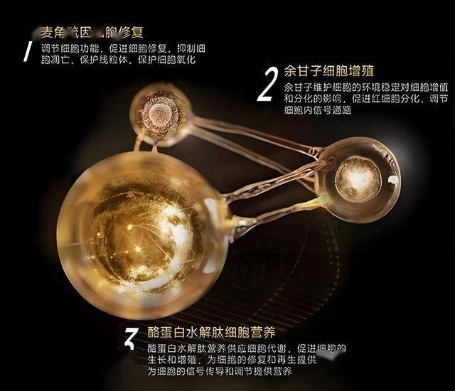 exness外汇平台招代理《赛博朋克2077：终极版》将于7月17日登录Mac 拥护光追